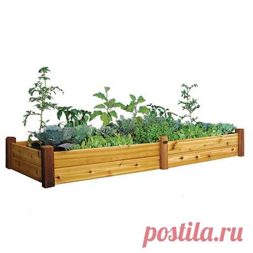 Raised Garden Bed at Jackson and Perkins