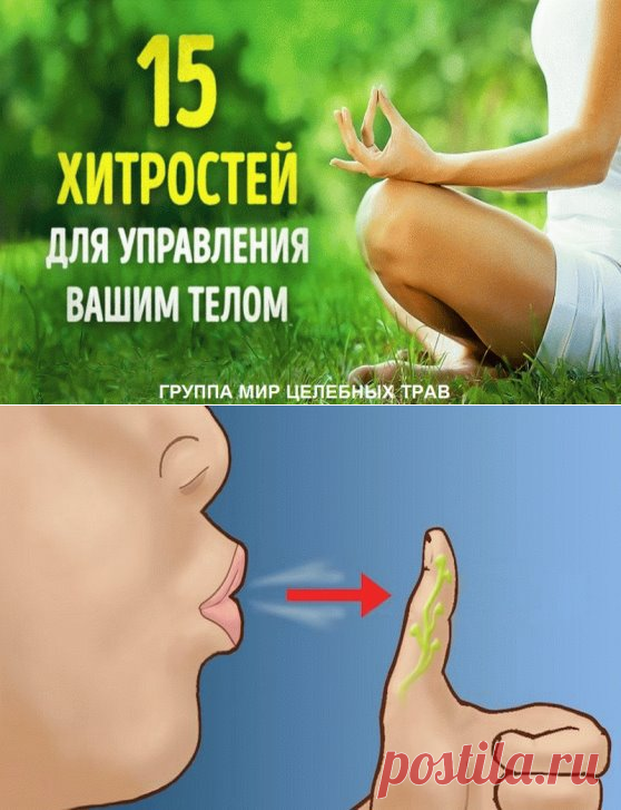 (28) Одноклассники