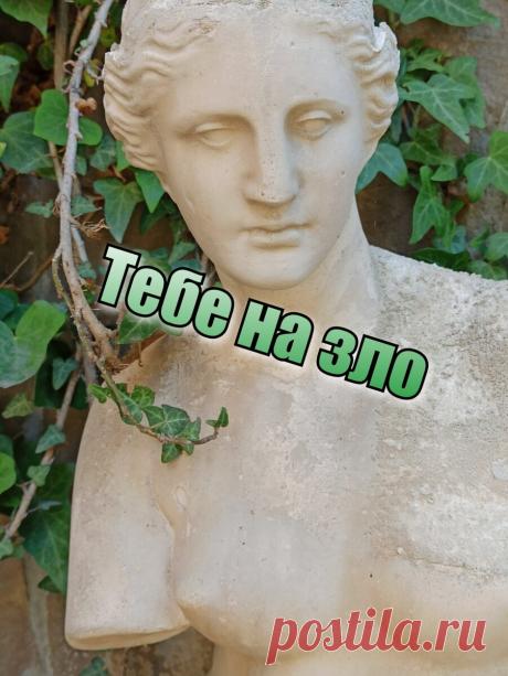 Стих. Тебе на зло. Автор Анастасия Морей | РомантикАМорей | Яндекс Дзен