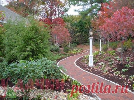 Сюжет, доминанта, фактура – важные составляющие дачного участка 30 примеров ландшафтного дизайна на фото | У дачки