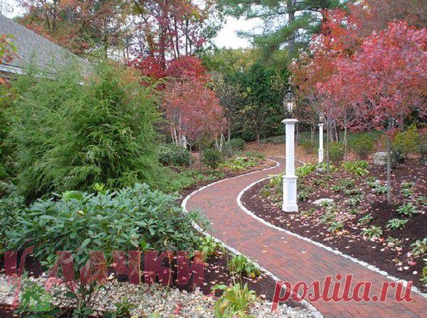 Сюжет, доминанта, фактура – важные составляющие дачного участка 30 примеров ландшафтного дизайна на фото | У дачки