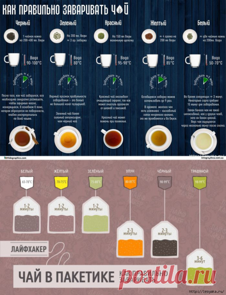 Как правильно заваривать разные виды чая (инфографика)