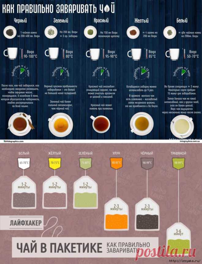 Как правильно заваривать разные виды чая (инфографика)
