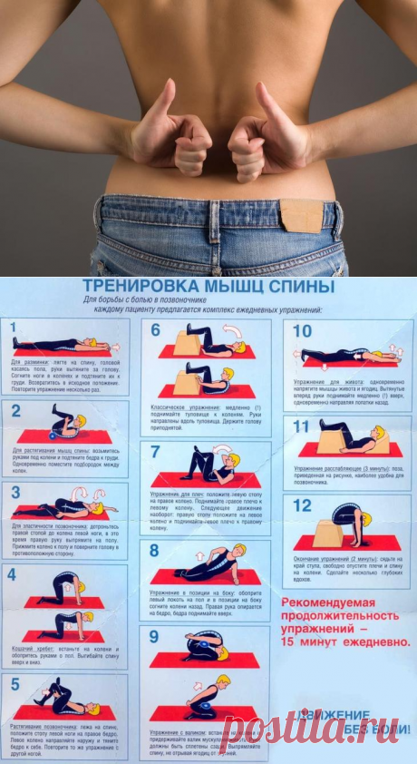 Эффективные упражнения для растяжки спины и позвоночника