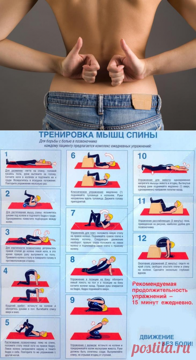 Эффективные упражнения для растяжки спины и позвоночника