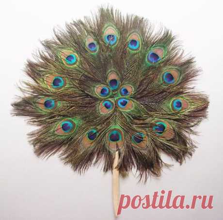 Фотографии art-carnival - 31 фото в Моем Мире.