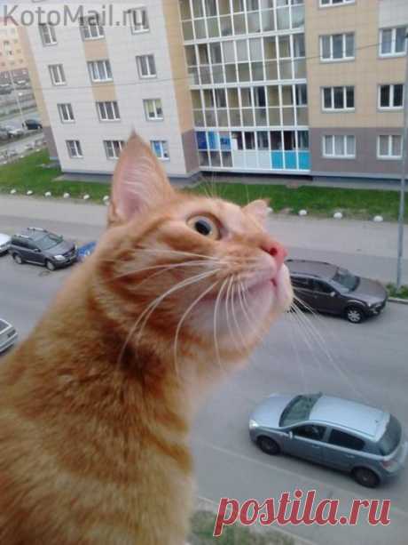 Любопытство - оно такое)