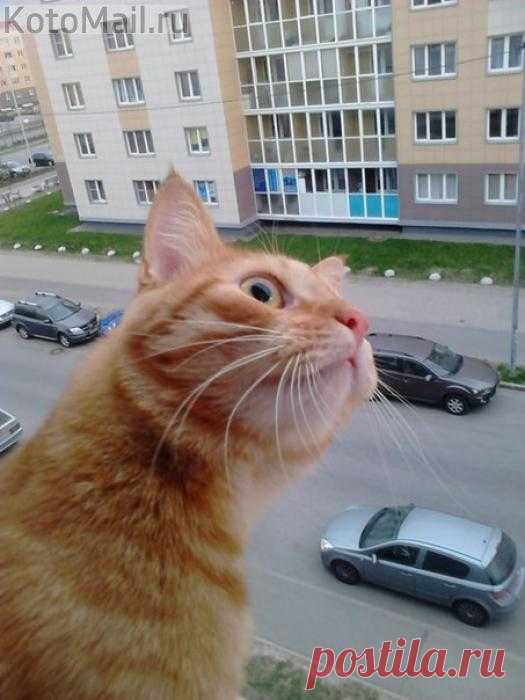 Любопытство - оно такое)