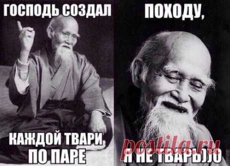 Прикольная фотоподборка (70)