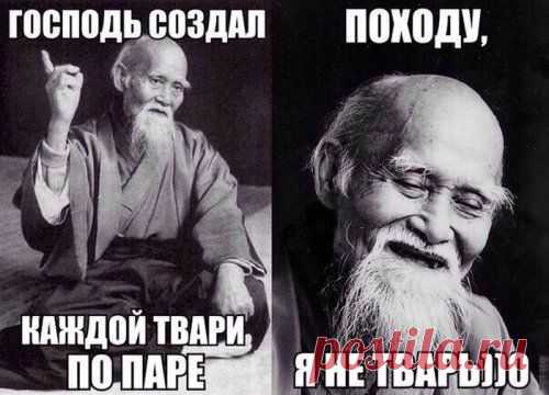 Прикольная фотоподборка (70)