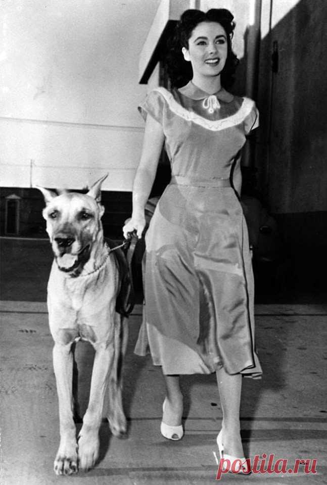 Elizabeth Taylor - t13 Elizabeth Taylor