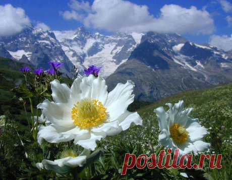 (1) Фејсбук