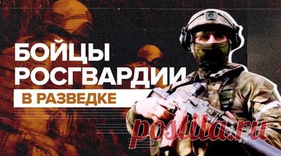 Граната и тайник: бойцы Росгвардии провели разведывательно-поисковую операцию. Росгвардия показала работу своих разведподразделений. Бойцы прибыли к нужному месту на бронированном «Тигре», заняли круговую оборону и проверили лесополосу с помощью дрона. Вёл группу инженер-сапёр, остальные его прикрывали. Во время исследования местности разведчики обнаружили боевую гранату РГД-5 и тайник, в котором были пистолет с обоймой и целый пулемётный короб. Читать далее