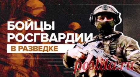 Граната и тайник: бойцы Росгвардии провели разведывательно-поисковую операцию. Росгвардия показала работу своих разведподразделений. Бойцы прибыли к нужному месту на бронированном «Тигре», заняли круговую оборону и проверили лесополосу с помощью дрона. Вёл группу инженер-сапёр, остальные его прикрывали. Во время исследования местности разведчики обнаружили боевую гранату РГД-5 и тайник, в котором были пистолет с обоймой и целый пулемётный короб. Читать далее