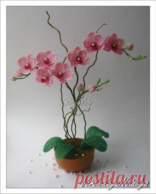 Орхидея из бисера | Самоделкино