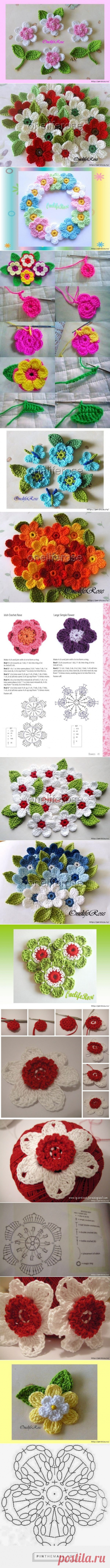fiori e fiorellini... - a grouped images picture - Pin Them All