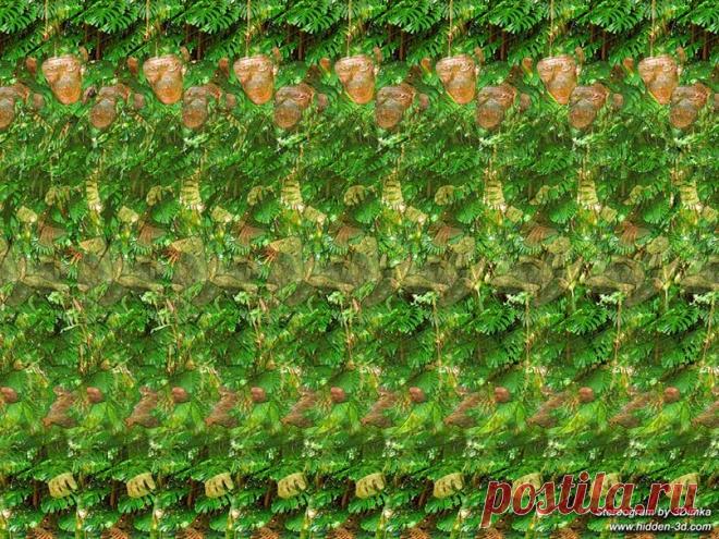 Как работает тренировка глаз при близорукости, хорошее зрение за 5 минут! | ВКонтакте