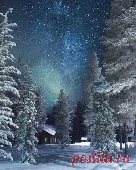 Debbie Abrames сохранил(а) Пин на доску «Winter Wonderland».  |  Pinterest • Всемирный каталог идей