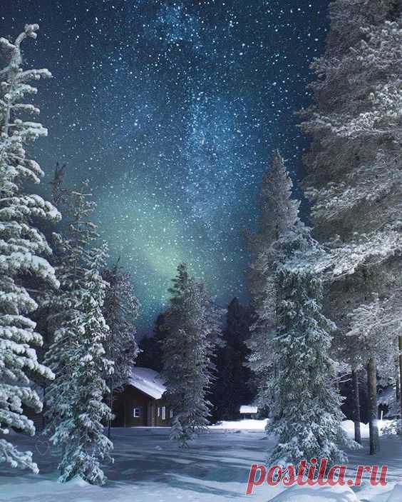 Debbie Abrames сохранил(а) Пин на доску «Winter Wonderland».  |  Pinterest • Всемирный каталог идей