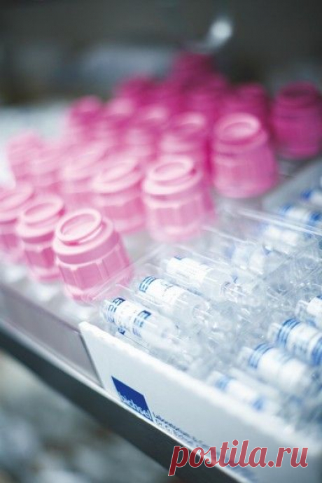 Рак поджелудочной железы
Стадии болезни и симптомы
Классификация стадий заболевания производится по системе TNM, где буквы обозначают характер образования, а стоящие рядом с ними цифры – размер или степень распространенности этого образования. Чем выше цифра, тем образование крупней или распространенней. Применяются и некоторые добавочные обозначения. Например, строчная буква «р», которую иногда ставят вначале, означает Pankreas, то есть...