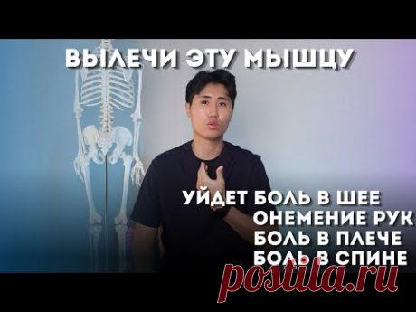 Вылечи эту мышцу и забудешь про боль в шее, спине, плече, онемение рук