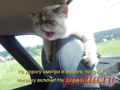 ♥≈Ω≈♥ ஐЛюбовь и нежностьஐ♥≈Ω≈♥ (Kошки)