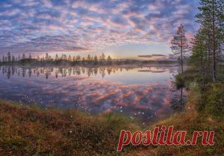 Архангельская область. Автор фото — Олег Авдеев: nat-geo.ru/photo/user/299292/