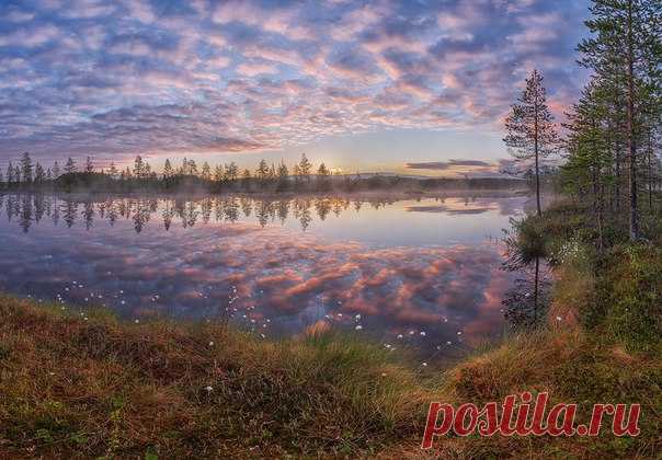 Архангельская область. Автор фото — Олег Авдеев: nat-geo.ru/photo/user/299292/