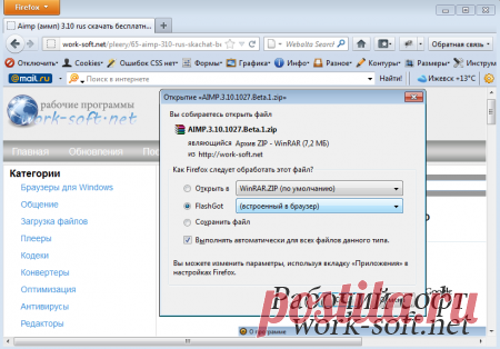 FlashGot (Флешгот) 1.5.6.14