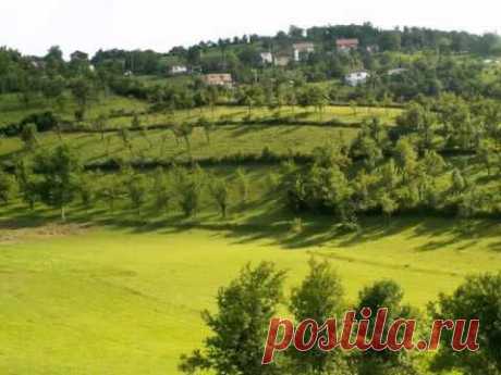 Bosnian Landscapes