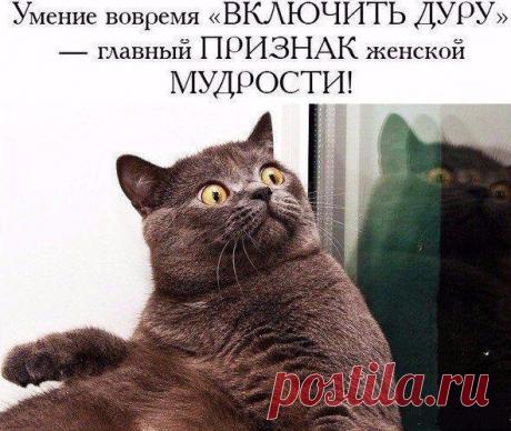 рецепты красоты