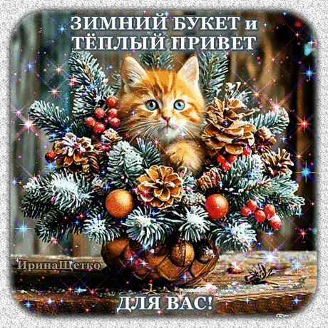 Зимний букетик и приветик!
