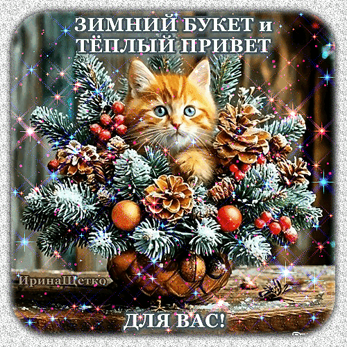 Зимний букетик и приветик!