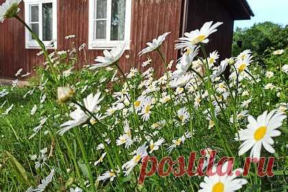 Более трети россиян провели лето без отпуска. Более трети россиян провели это лето без отпуска. Показатель стал максимальным за последние пять лет, ранее он находился на уровне 20-24 процентов, свидетельствуют результаты опроса Всероссийского центра изучения общественного мнения (ВЦИОМ). В процедуре приняли участие 1,6 тысячи россиян старше 18 лет.