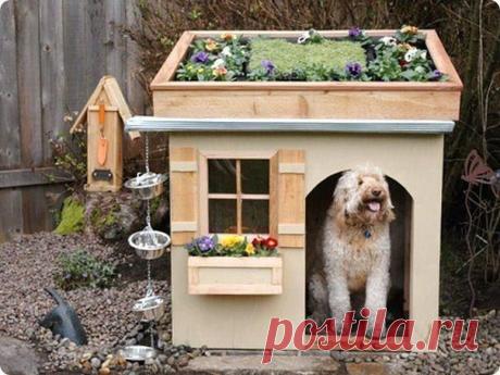 (12) Одноклассники