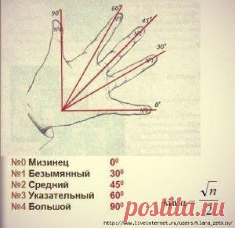 Ваши любимые рецепты