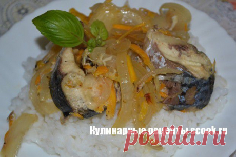 Скумбрия в банке |Рецепты вкусных блюд