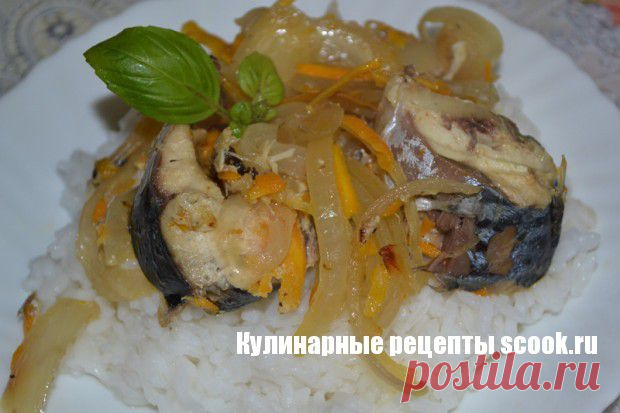 Скумбрия в банке |Рецепты вкусных блюд
