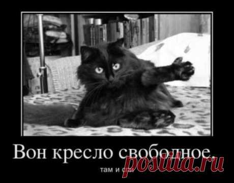 Вон кресло свободное.2-ая часть)))