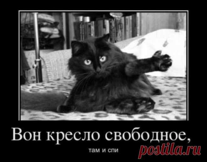 Вон кресло свободное.2-ая часть)))