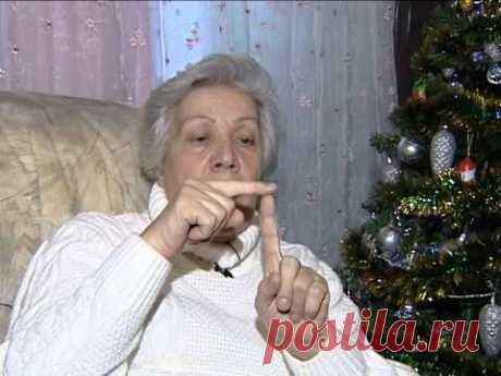 Советы тети Тани. Хвойные.