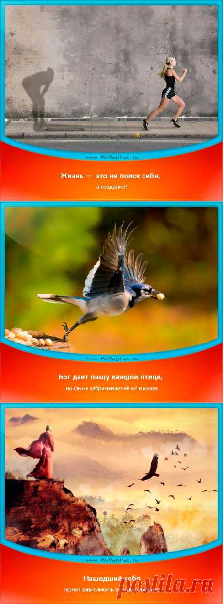 Позитивчики Недели (смотреть фото)