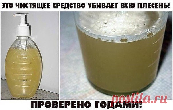 ЭТО ЧИСТЯЩЕЕ СРЕДСТВО УБИВАЕТ ВСЮ ПЛЕСЕНЬ! ПРОВЕРЕНО ГОДАМИ!

Всем советую! У нас старый дом и раньше постоянно заводилась плесень. Покупали дорогую химию, убирало, но ненадолго. По совету соседки сделали это средство и вот уже 4-й год плесени не видно! Держите рецепт:
• 2 ч. л. эфирного масла чайного дерева (для дезинфекции);
• 2 чашки воды.
Показать полностью…