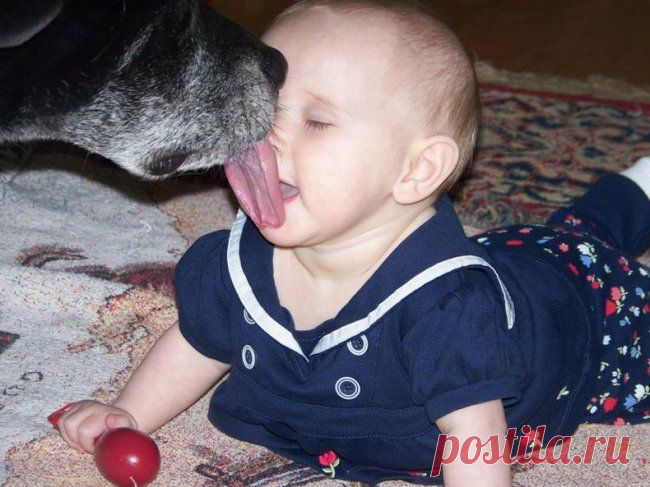 ты сегодня   умывалась???