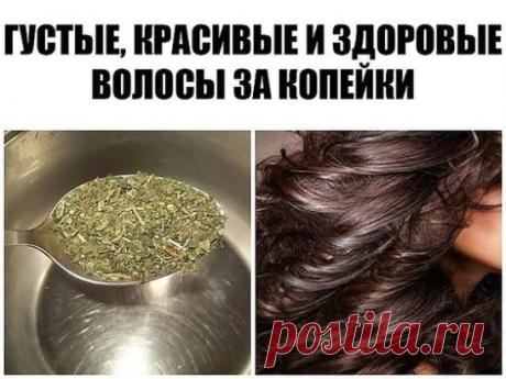 Остановить выпадение волос помогут эти 2 ингредиента! Густые, красивые и здоровые волосы за копейки!
 
Вам кажется, что ваши волосы выпадают в огромном количестве, и такими темпами у вас будет некрасивая проплешина на макушке? Чтобы не допустить такого плачевного результата, необходимо немедленно принимать меры и остановить обильное выпадение волос. Есть прекрасное средство, состоящее всего из двух ингредиентов, простых и доступных буквально каждому, которое может помочь тебе справиться с этой п