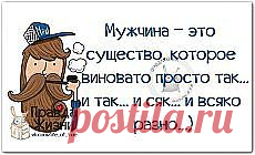 юмор | Смешные истории и фото на Постиле | Постила