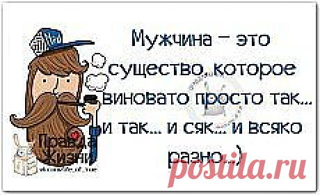 юмор | Смешные истории и фото на Постиле | Постила