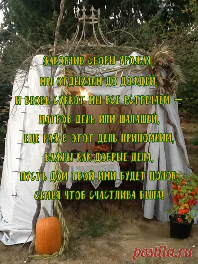 Суккот. Повсюду шалаши,
А в них – гирлянды-блёстки.
Сквозь щели крыш в ночной тиши
Заглядывают звёзды.