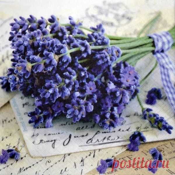Мой Мир@Mail.Ru