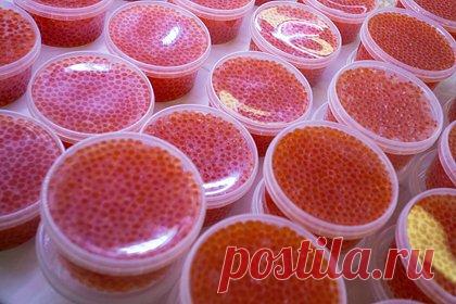 Российские таможенники изъяли у китайского контрабандиста 960 банок икры. В Приморском крае российские таможенники задержали китайского контрабандиста, пытавшегося незаконно вывезти из России 960 банок с икрой. Контрабандист из Китая работал водителем пассажирского автобуса. Общий вес изъятой таможенниками контрабанды превысил 120 килограммов.